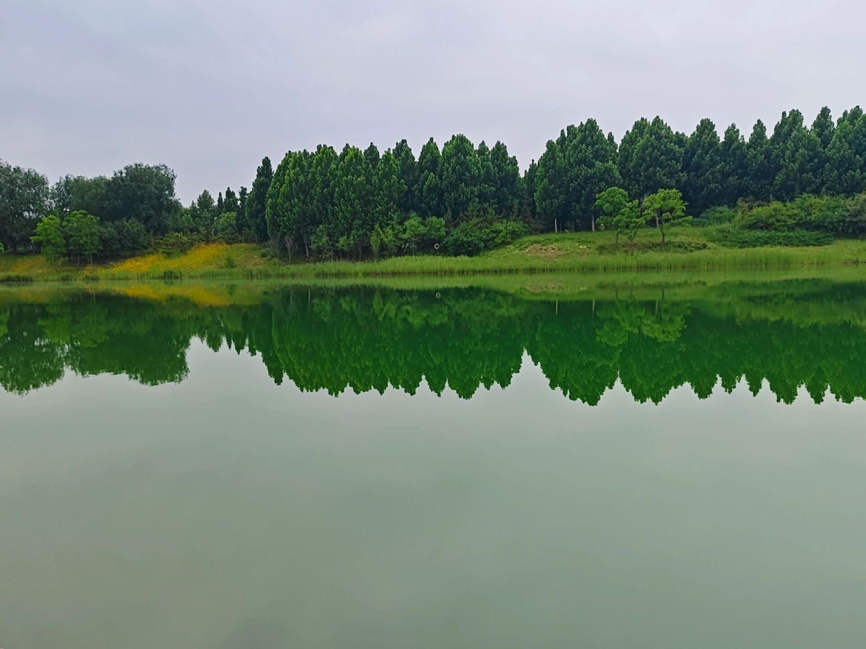 中牟牟山湿地公园图片