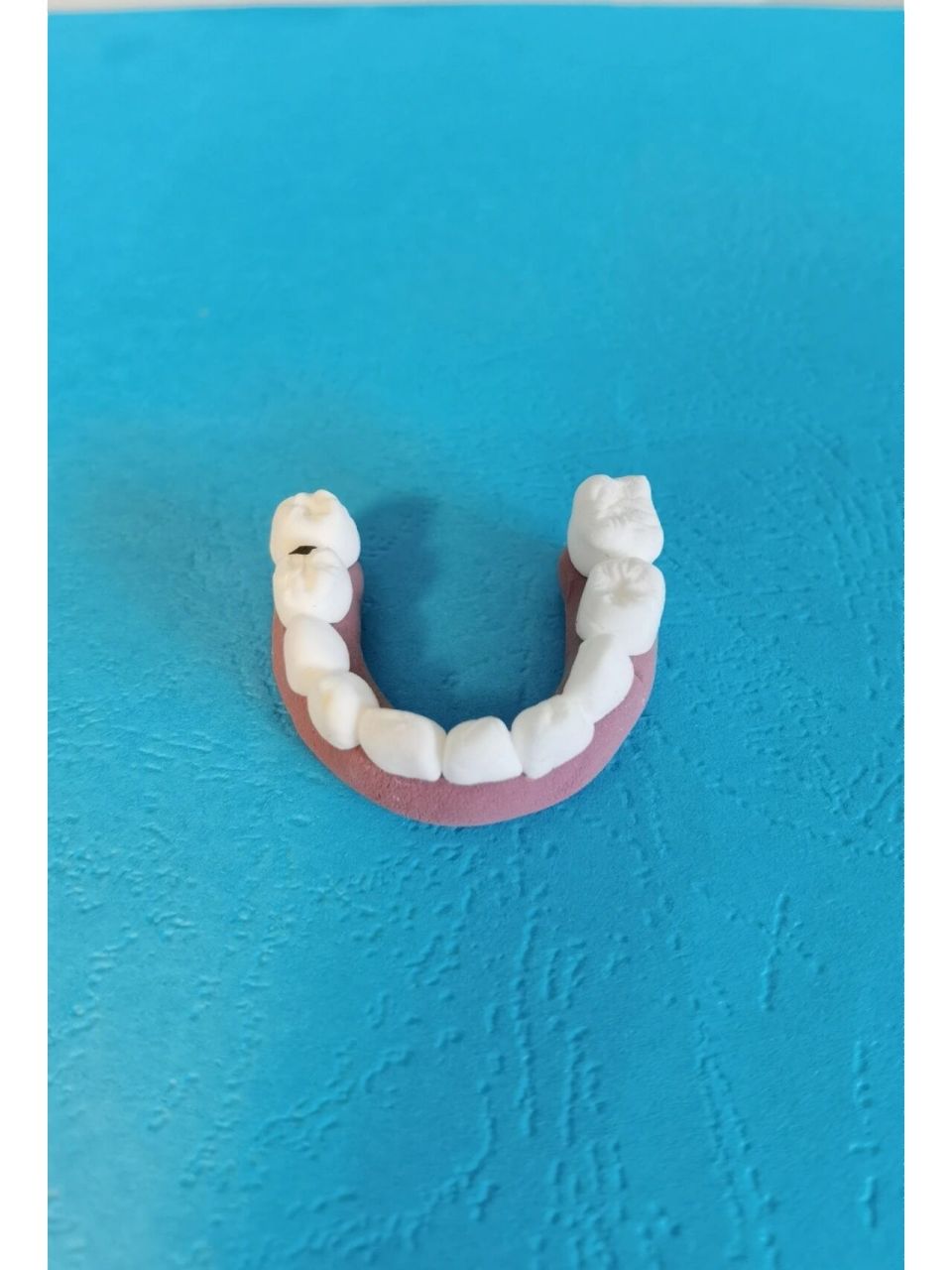 用超轻粘土做的牙齿模型用处多多 娃对牙齿大街的故事很感兴趣,于是我