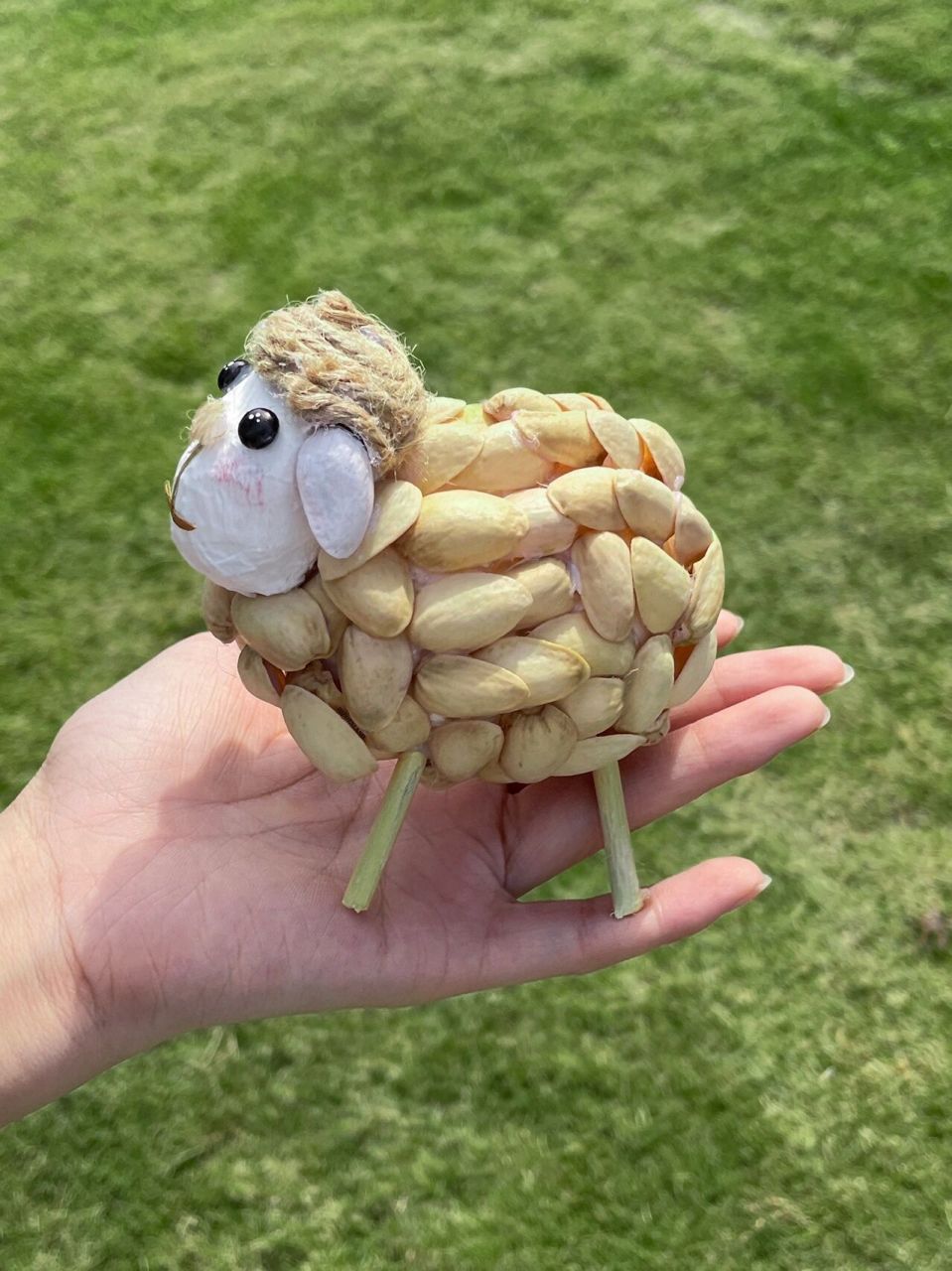 天空飘来一只羊91 自然教育动物园开业了!