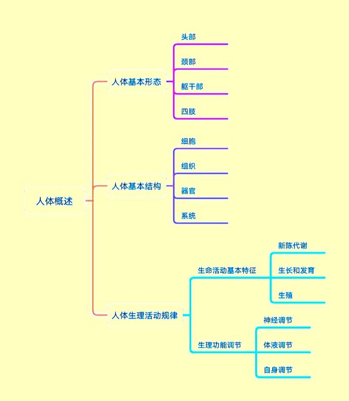 人体概述思维导图