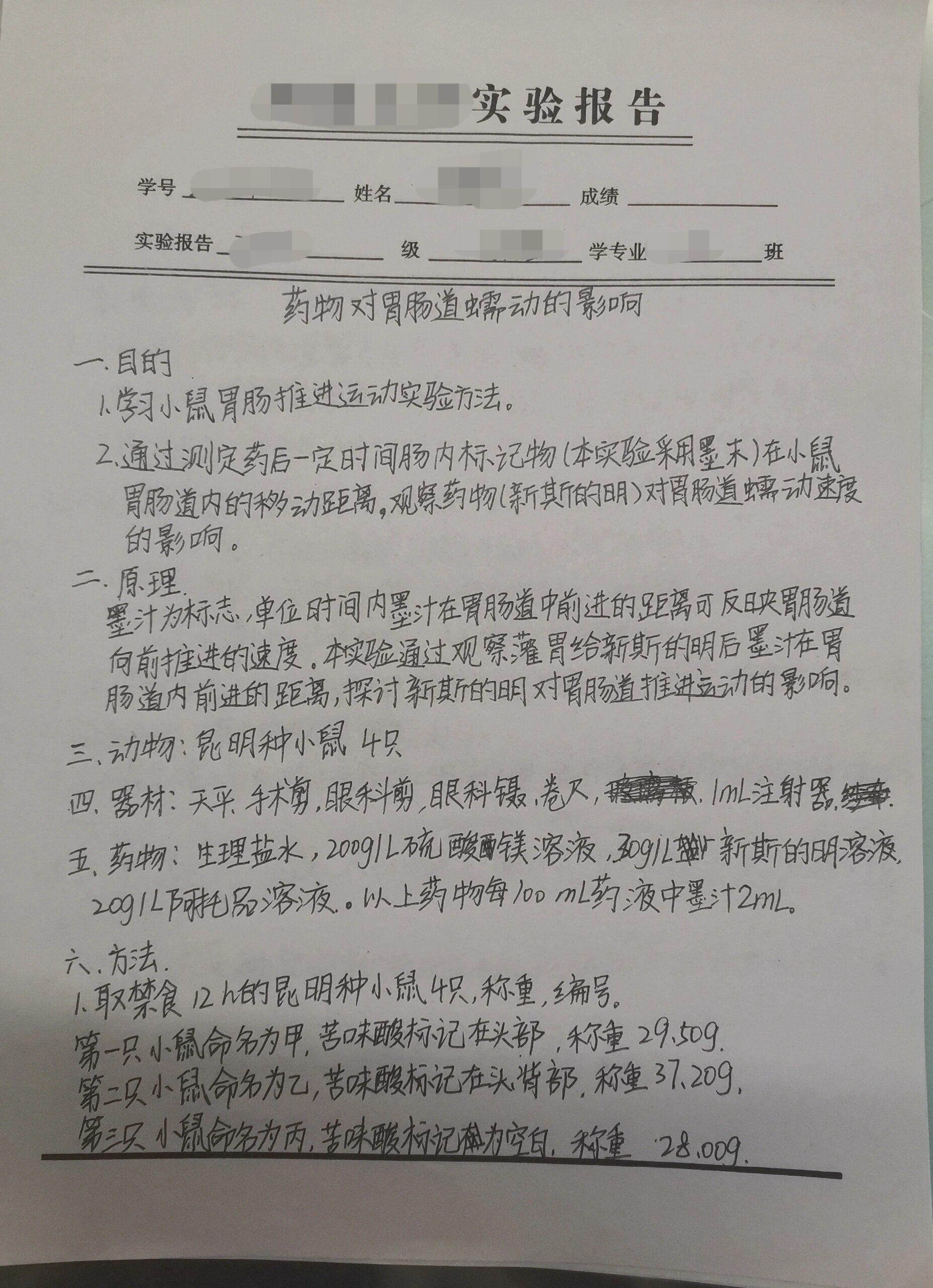 药理学 药物对胃肠道蠕动的影响 小鼠实验 药物对胃肠道蠕动的影响