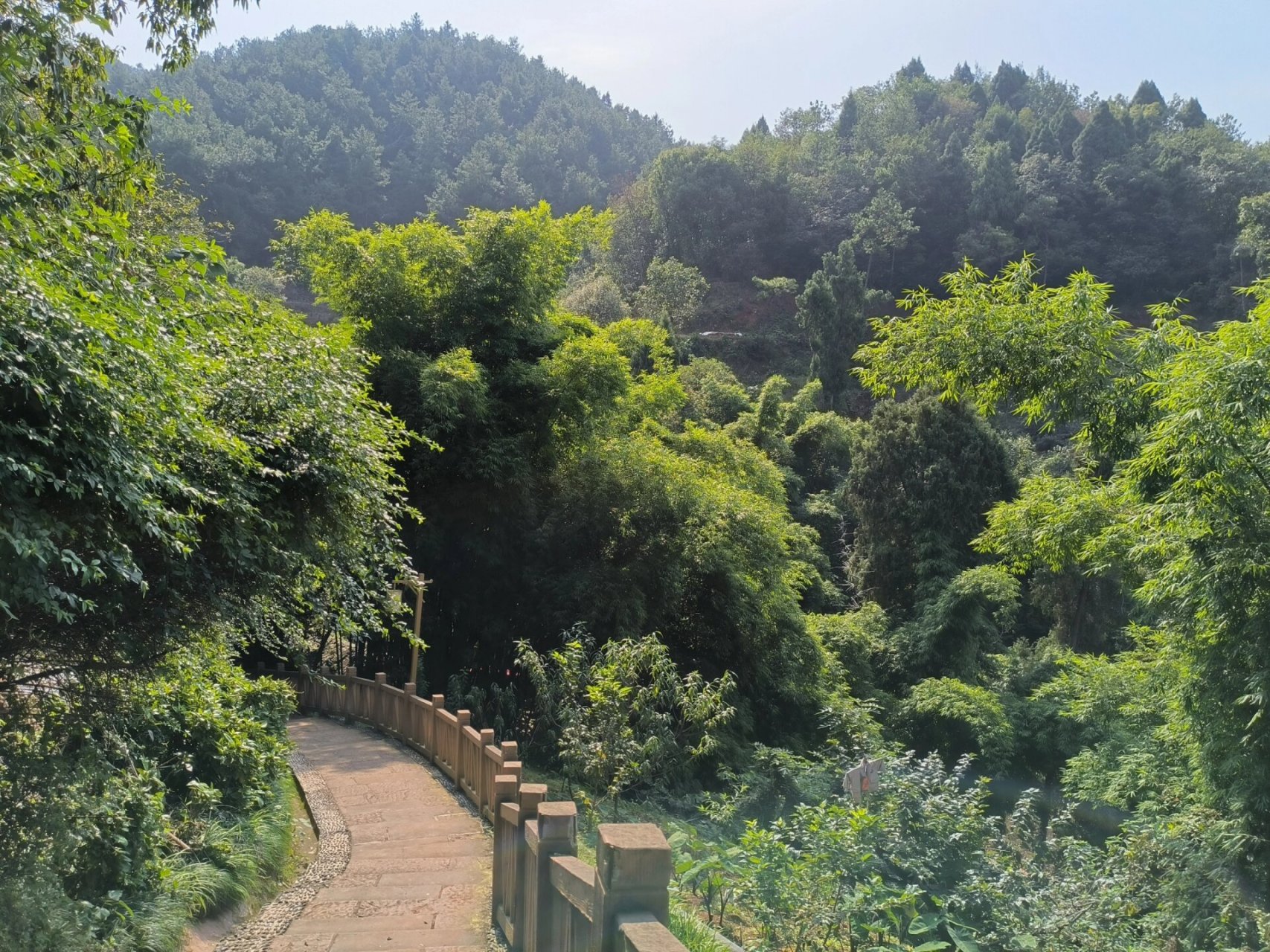 一周一山之紫霞山 第二山了,今天趁天气正好,爬了