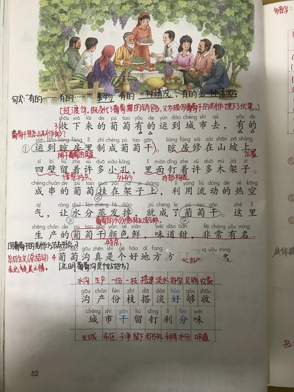 二年级上册语文 11《葡萄沟 课文主要介绍了新疆吐鲁番的葡萄沟是个