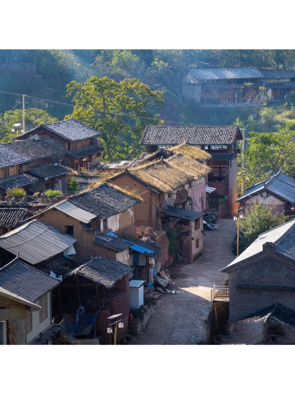 大理巍山县大仓镇图片