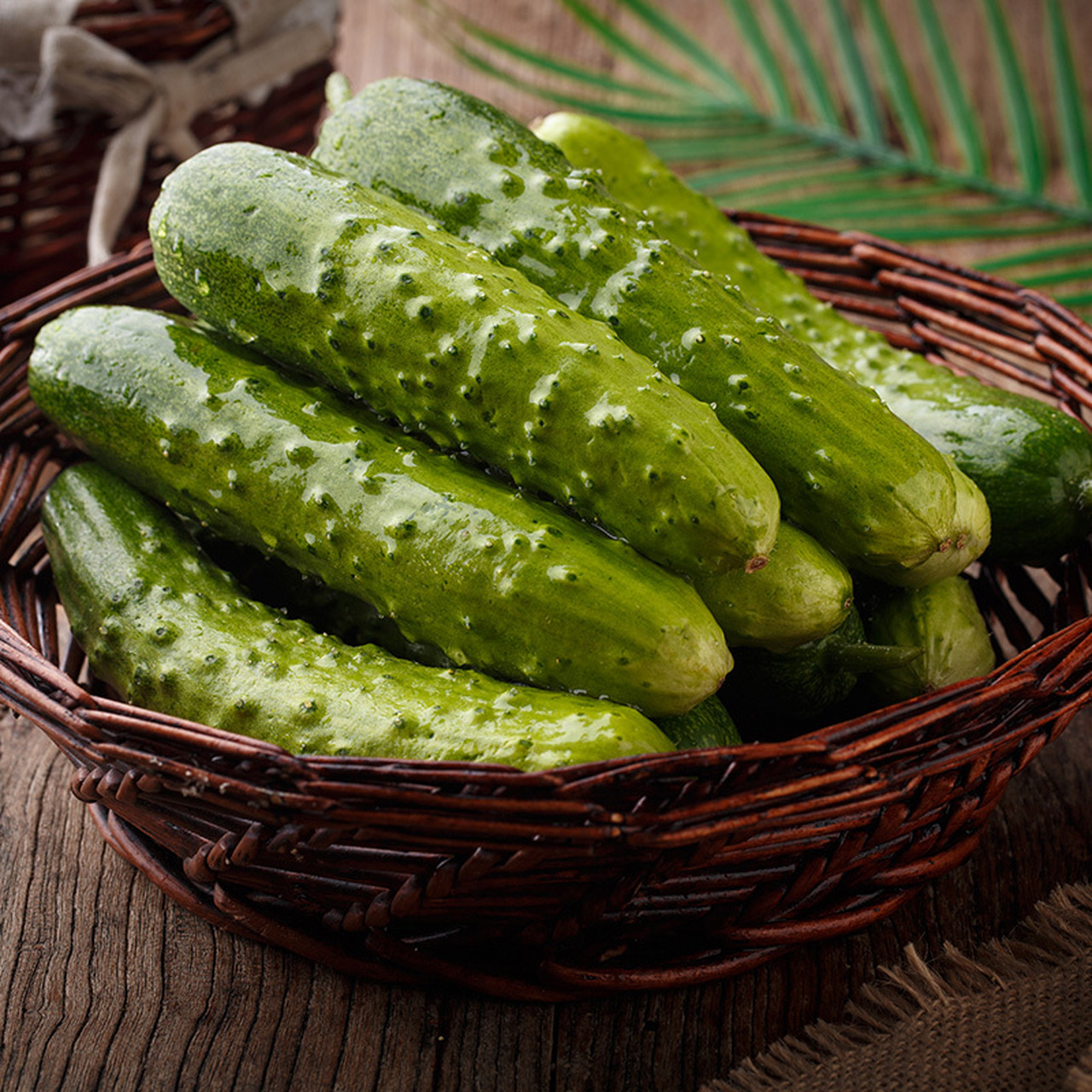 山东省特产 - 海阳白黄瓜 海阳白黄瓜在海阳种植已有上百年的历史,因