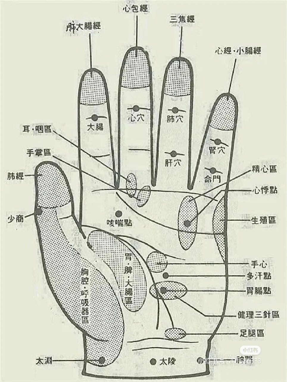 手掌身体全息反应图图片