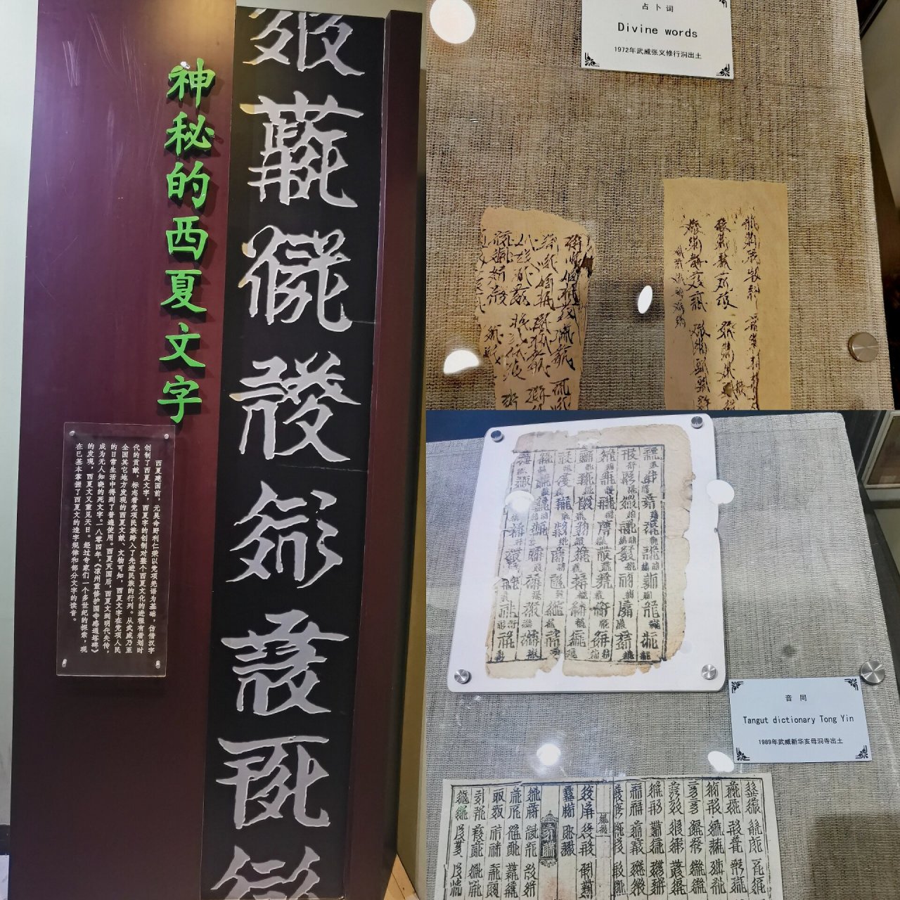 大夏开国 凉为辅郡 大夏即我国历史上一个以党项族为主体的多民族杂居