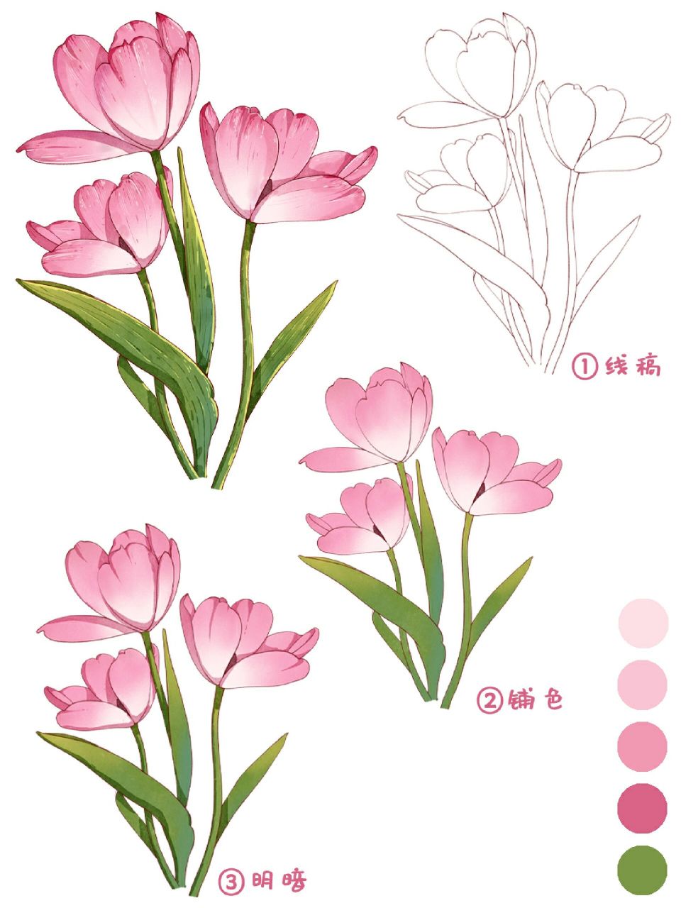 花花画法‖小物件插画教程 猜猜今天画的是什么花94 工具0015