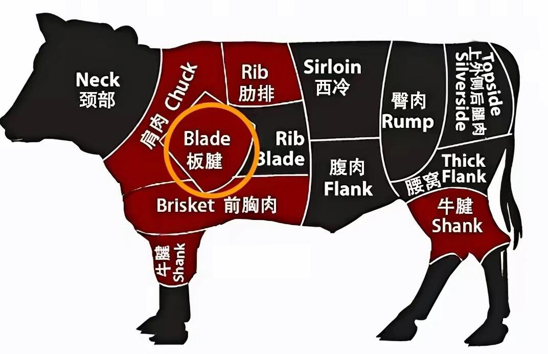 牛板腱牛身上的"牡蛎肉〞,吃过的人都沦 陷了 牛板腱位于牛肩胛骨外侧