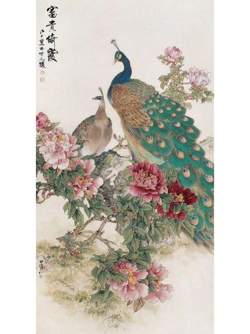 国画孔雀大师作品欣赏图片