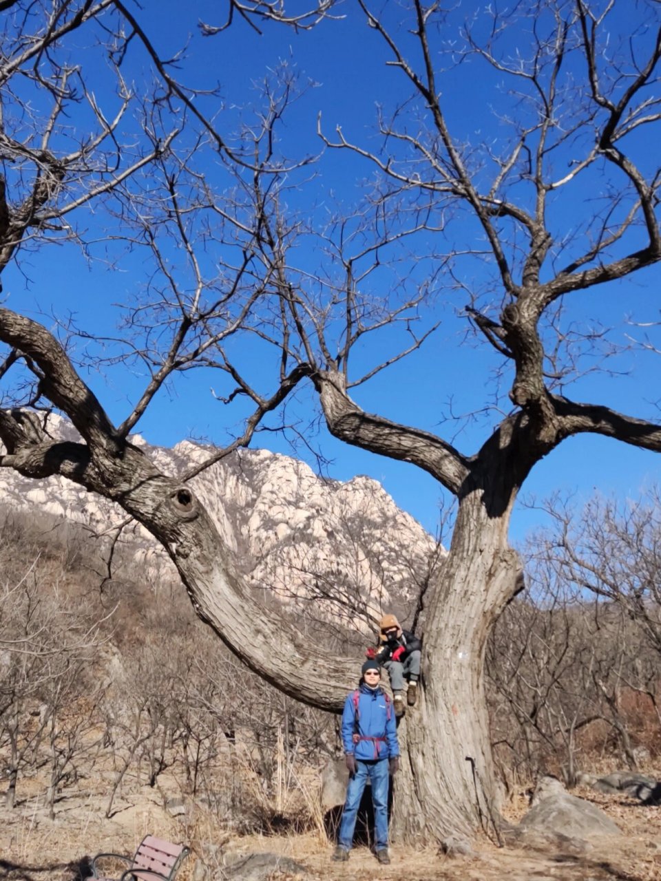 怀柔鳞龙山徒步 开车一个半小时 免费的就是最棒哒 优点:门票免费