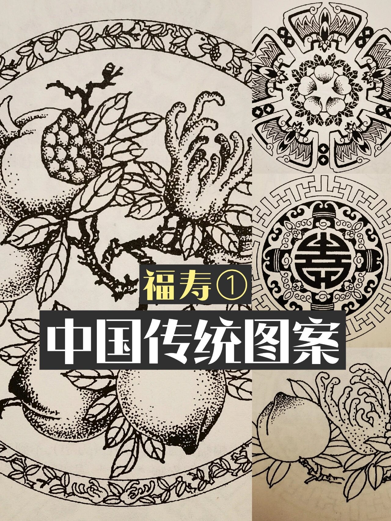 这里的每一件都与长寿息息相关