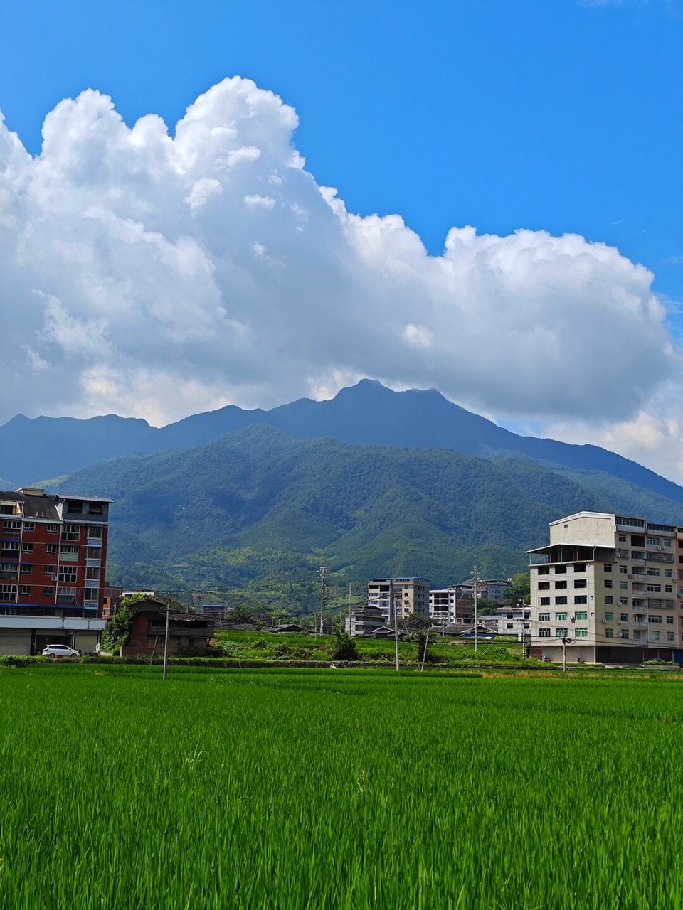 蓬莱圣境-三明尤溪蓬莱山 从坂面镇远眺蓬莱山(图九) 67上山水泥路