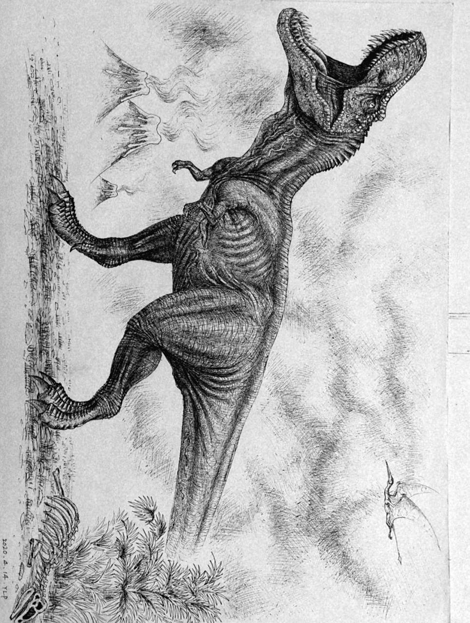 钢笔画—霸王龙 霸王龙属于暴龙超科的暴龙属,为该属下的唯一一种,是