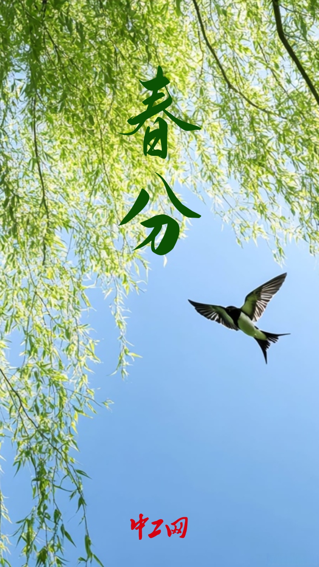 春分时节,春江暖,烟柳绿.桃花红,梨花白.莺婉转,燕纷飞