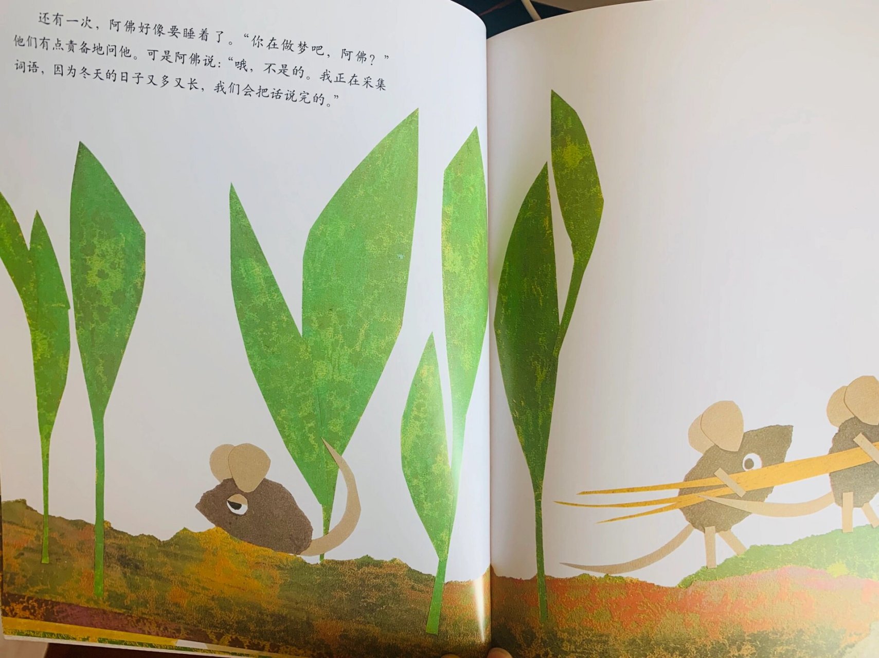 绘本精读|《田鼠阿佛》 绘本精读《田鼠阿佛》 《田鼠阿佛》的作者