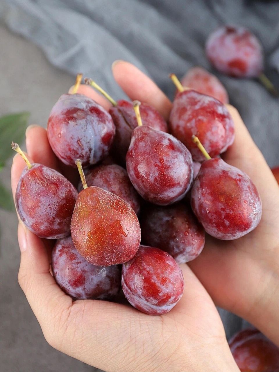 夏季水果 | 新疆西梅 99产地:新疆喀什莎车县喀艾日克乡 77果期:8