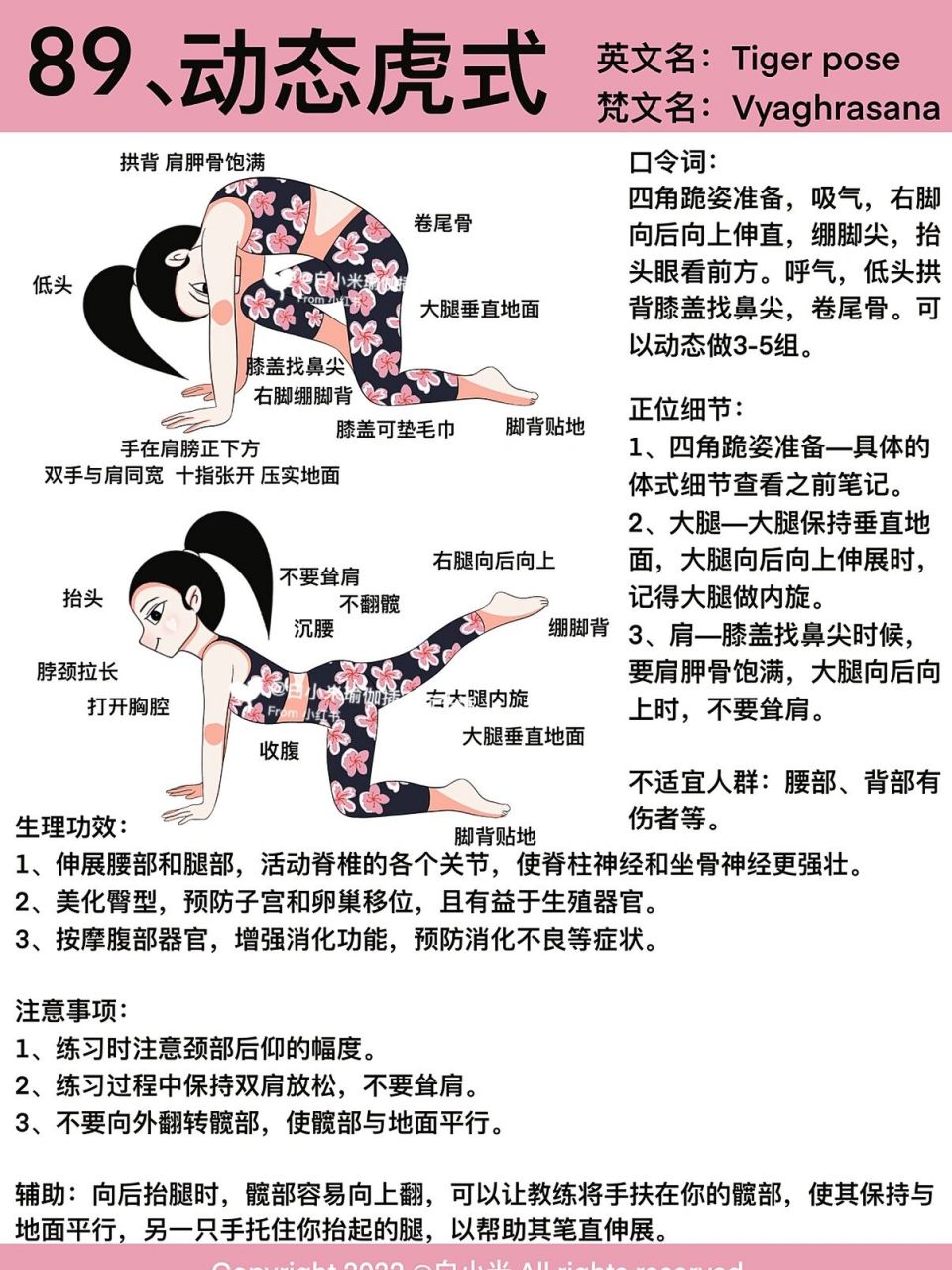 瑜伽插画|瑜伽体式笔记—动态虎式 好喜欢这套衣服,不知道现实做出来