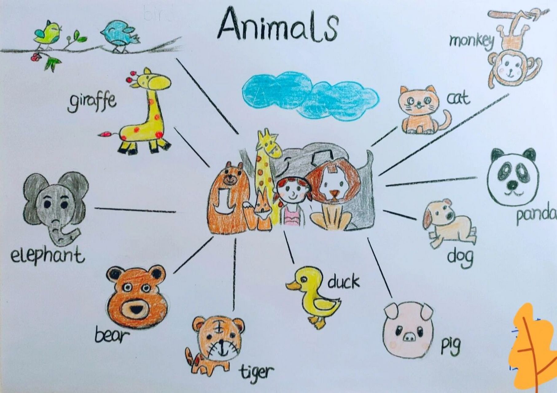 三年级英语《动物》思维导图