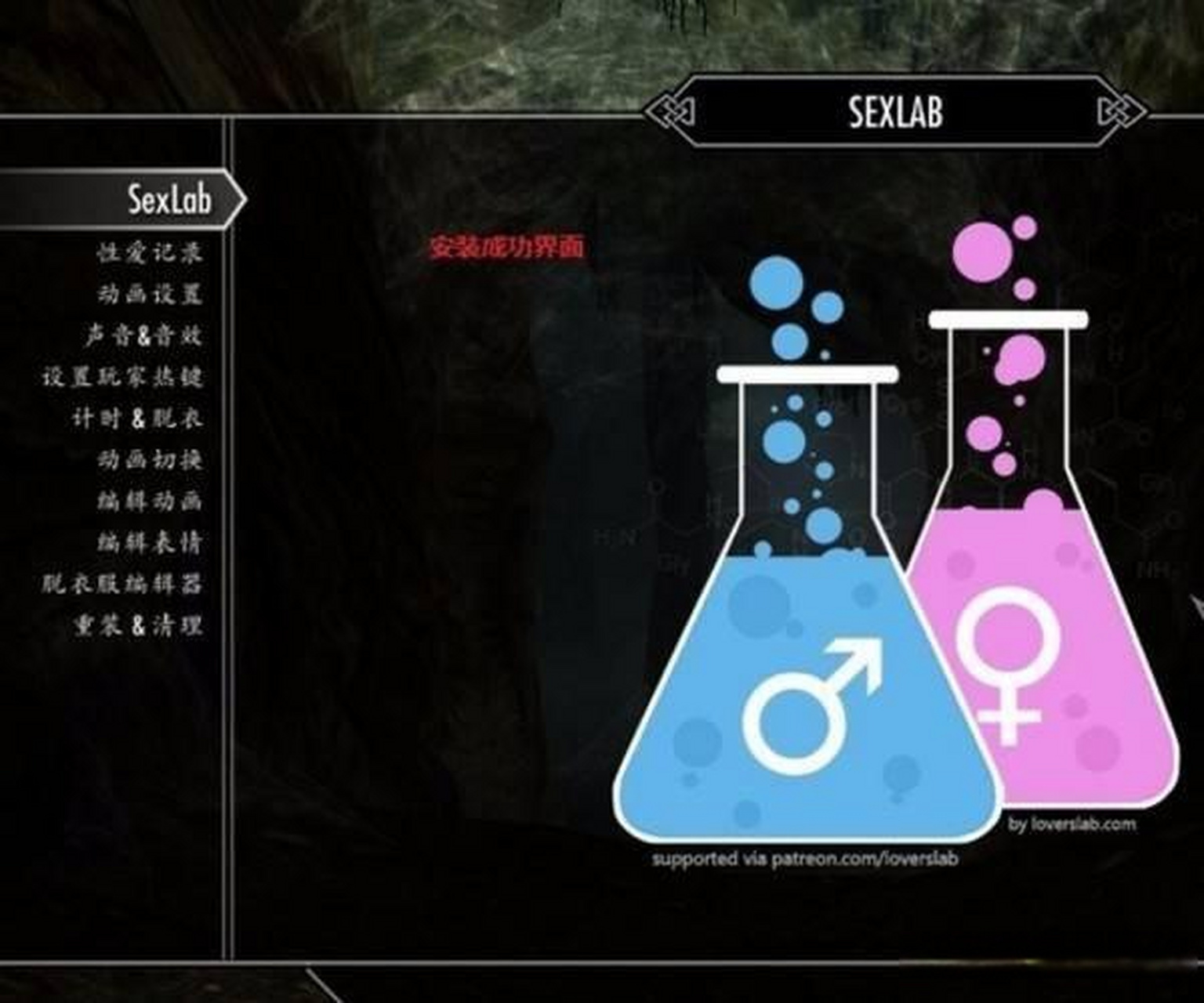 《上古卷轴5》有哪些知名mod 最知名的应该就是爱的实验室了吧!