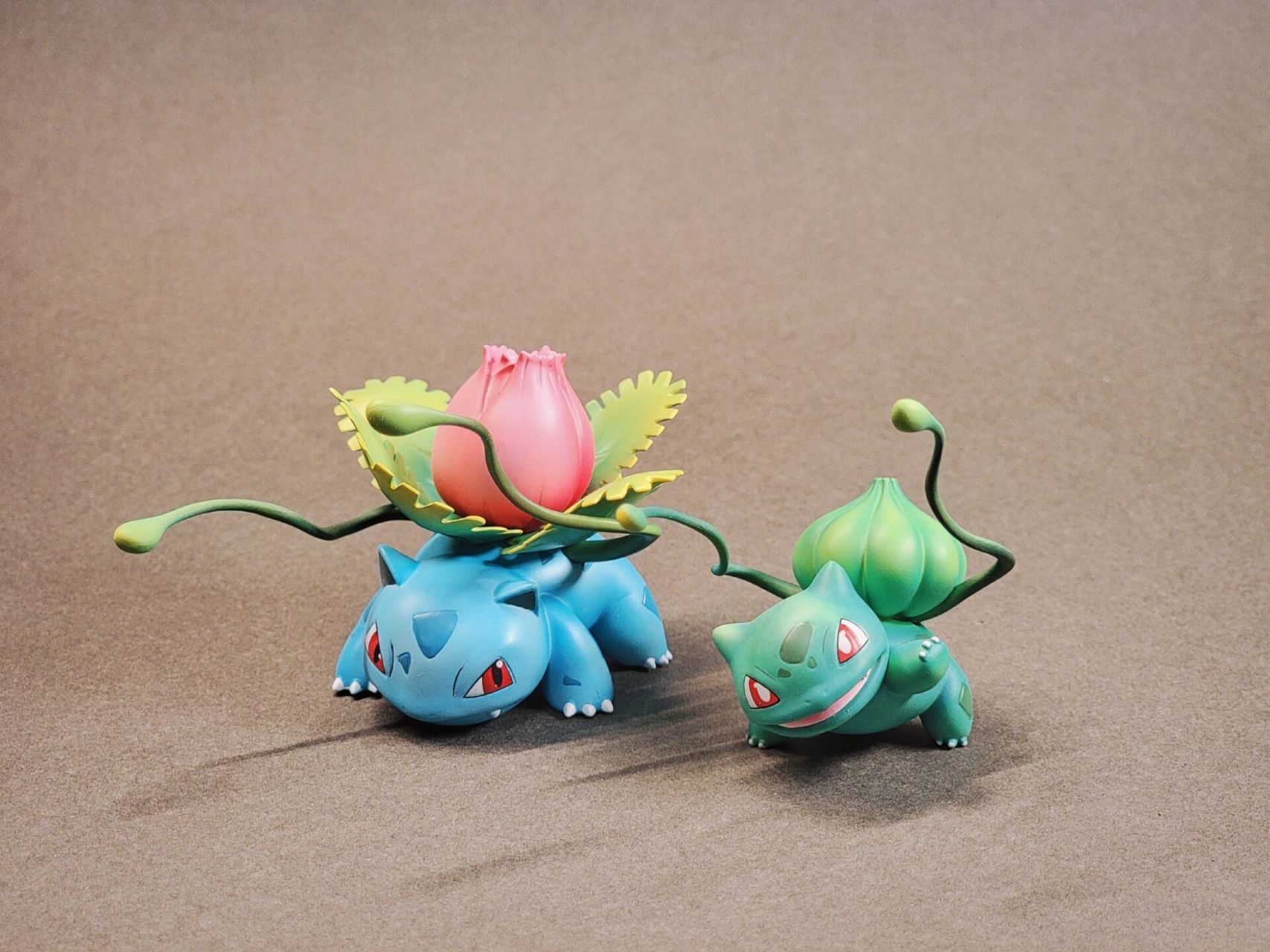 宝可梦图鉴丨妙蛙花 mg工作室 妙蛙花组