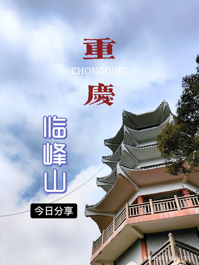 探索城市周边的森林秘境——临峰山郊野公园