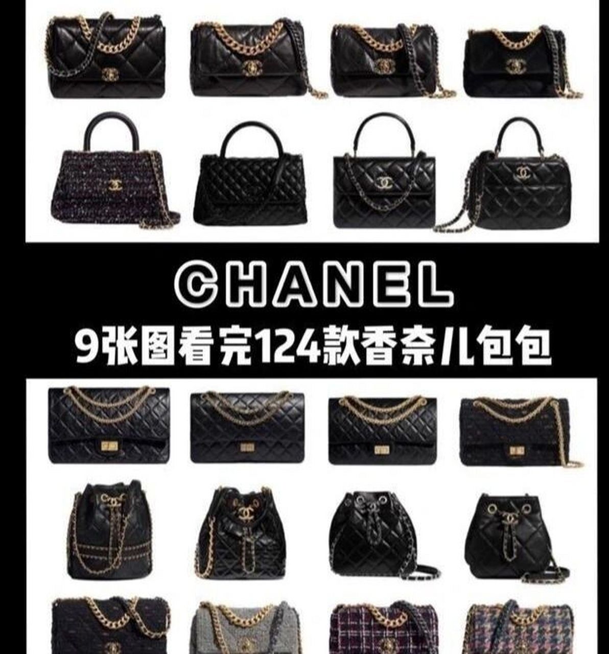 chanel包包所有款式图片