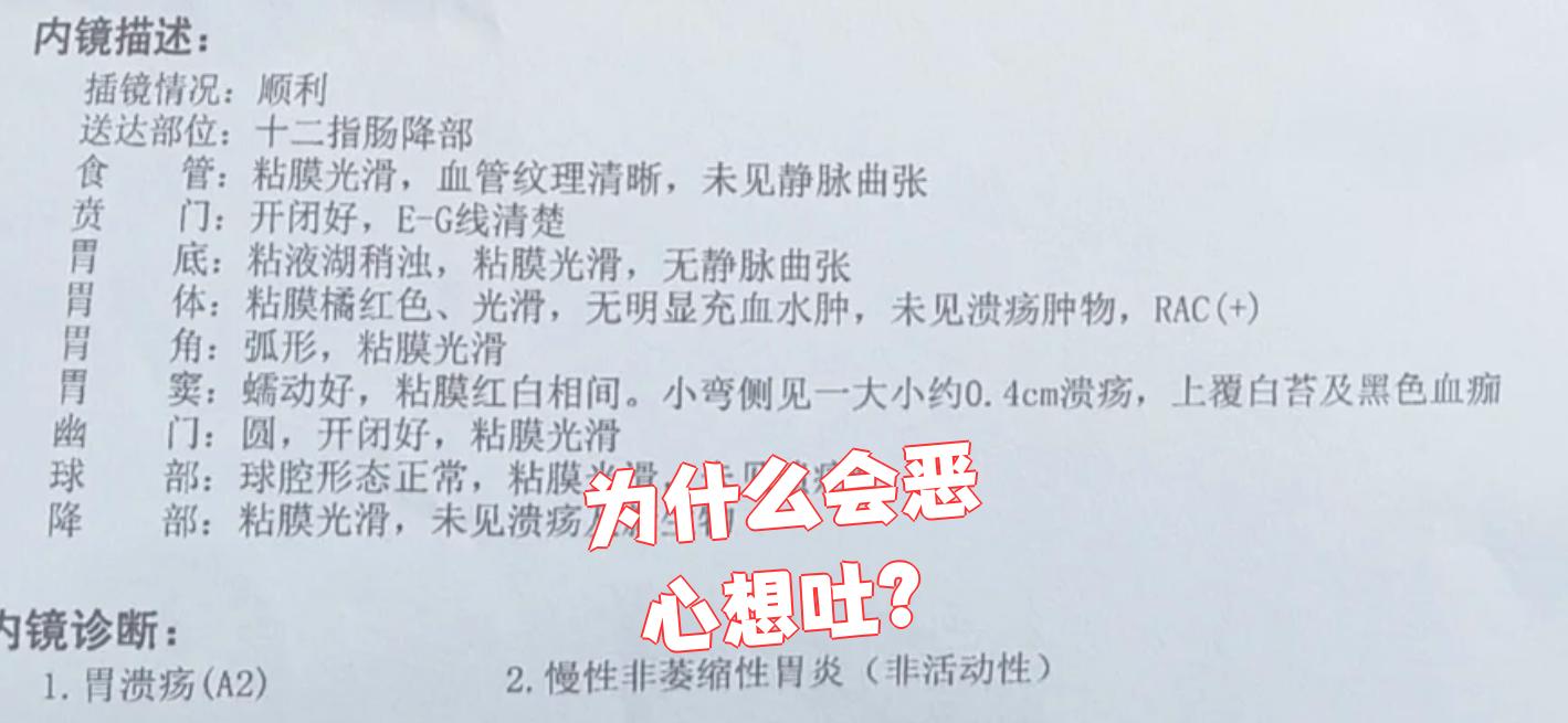 为什么想吐