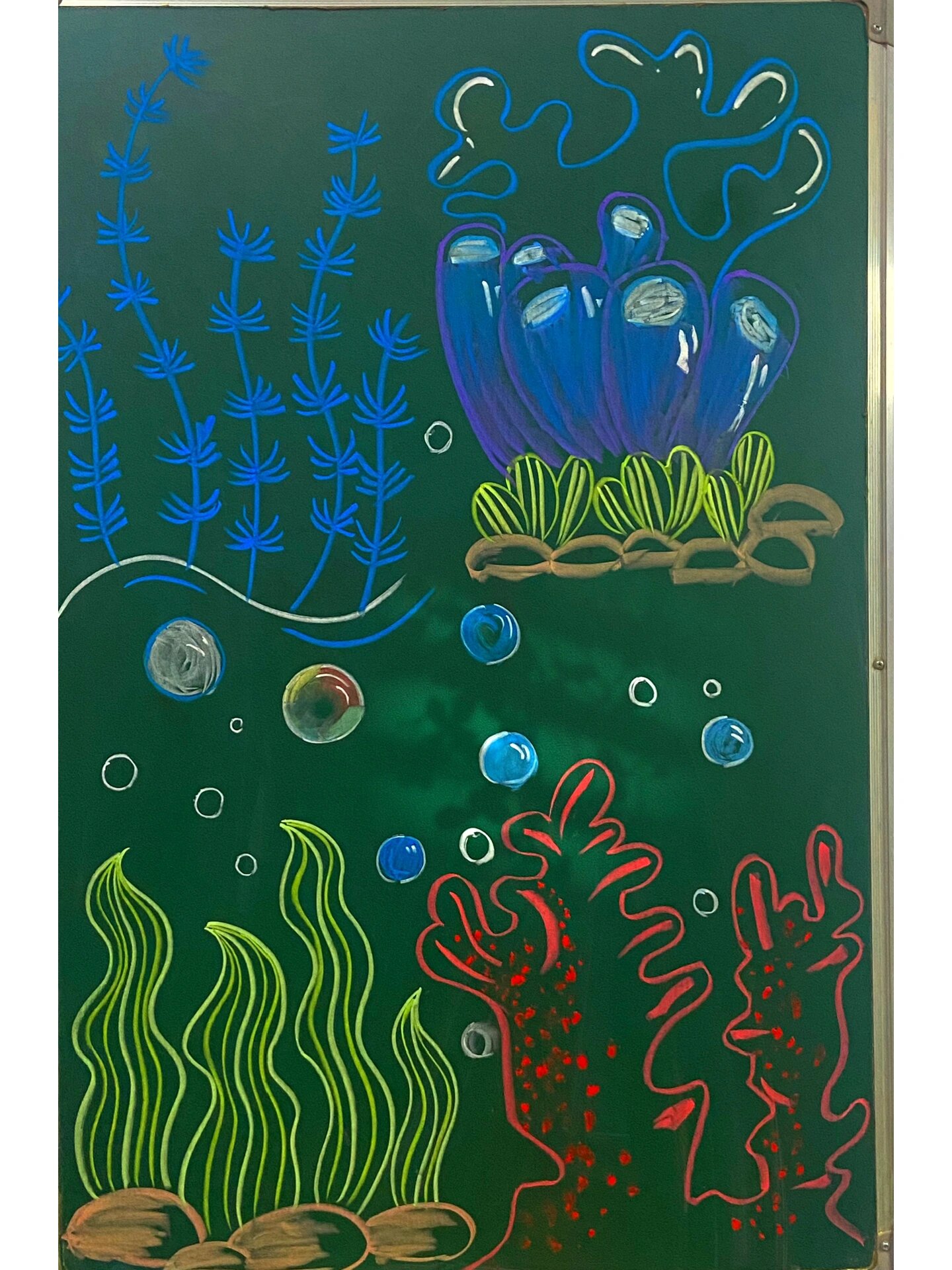 黑板报|粉笔画一些海草画法