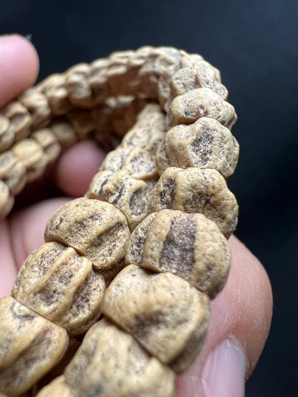 石人一只眼 半夜起来拍照,被自己之前拍的照片丑到睡不着