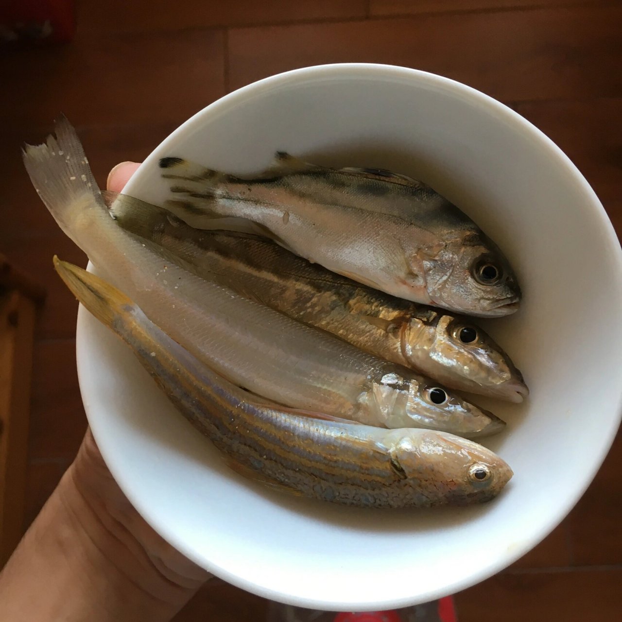 0215钓到胜利黎明蟹0215 #钓鱼# #打龟王