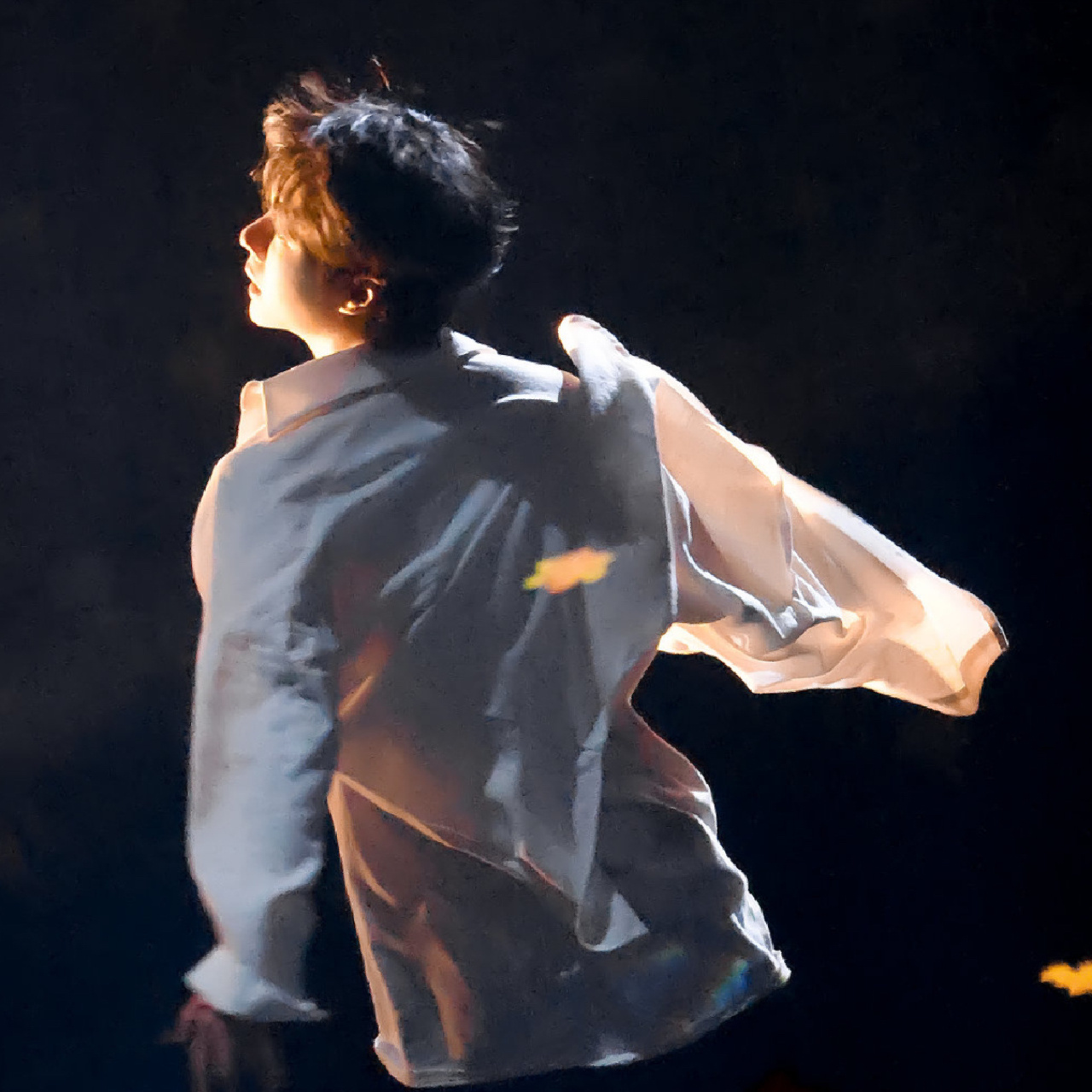 像阳光那样|王一博氛围感头像 我的男孩,希望你一直能追随着光的方向