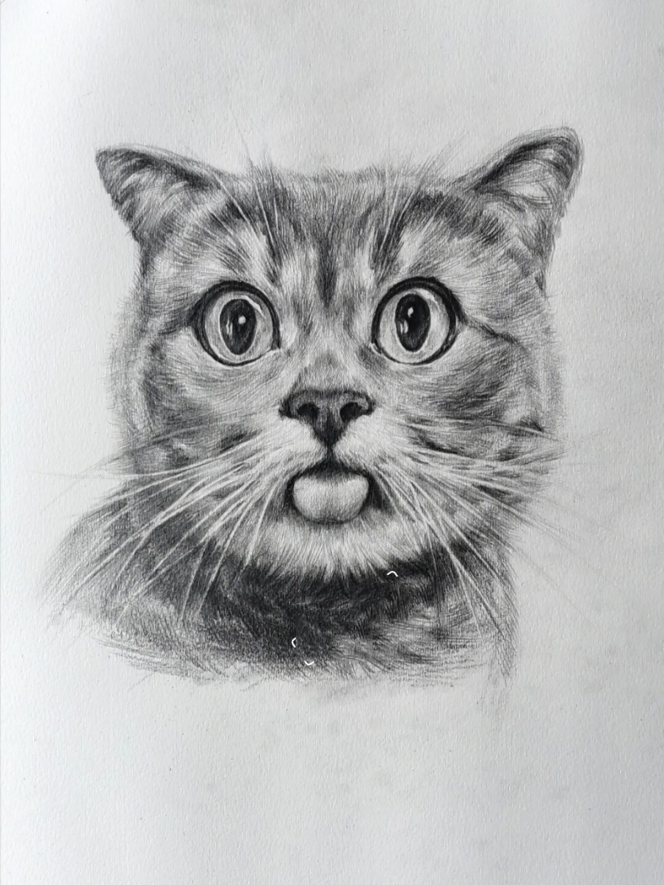 霸气猫咪素描图片