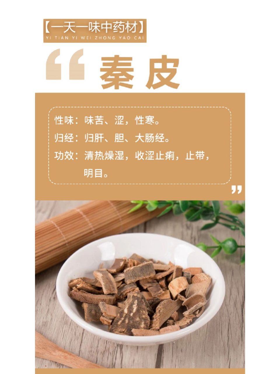 秦皮的功效与作用点图片