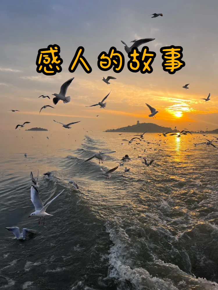 这世界上,总是有那么些小事儿,让你笑中带泪,心里暖洋洋的.