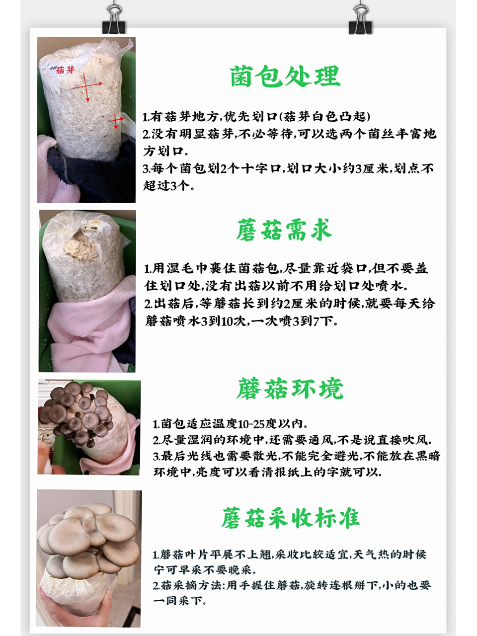 亲子种植蘑菇成长记录和蘑菇种植教程来啦        小朋友看到每天蘑菇