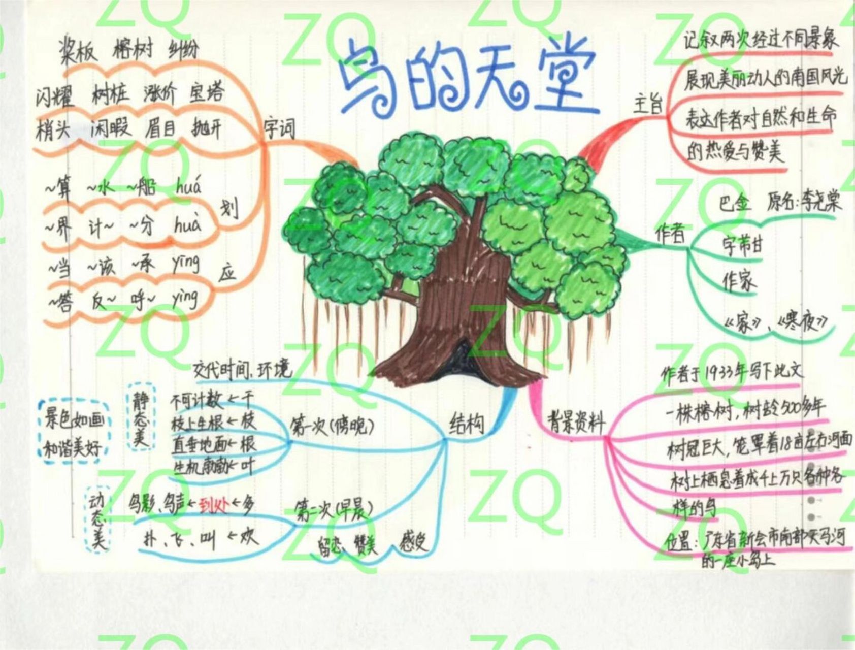 五上语文 第二十三课 鸟的天堂 思维导图