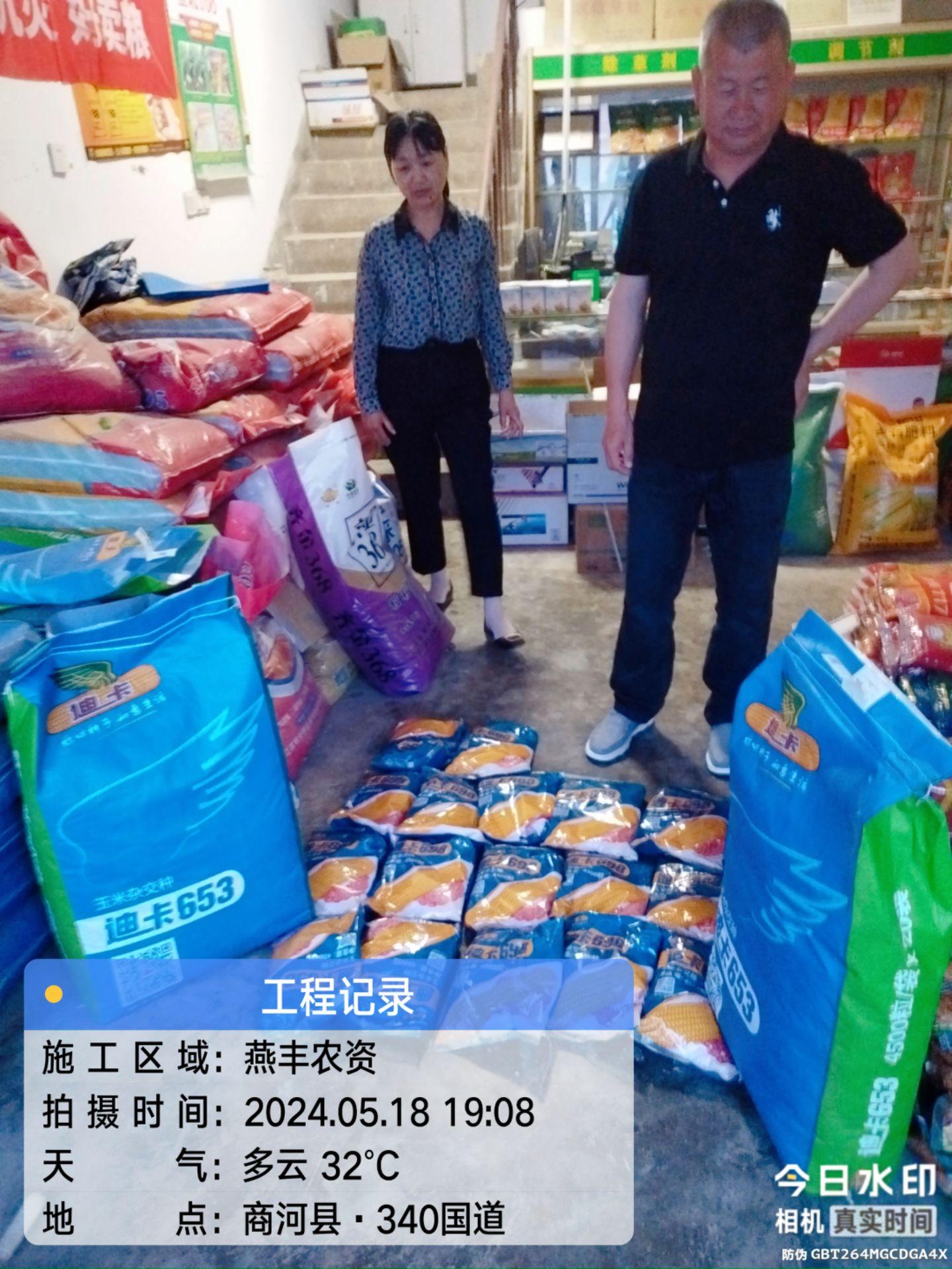 迪卡653高产抗灾好卖粮迪卡698双抗锈基因产量杠杠的