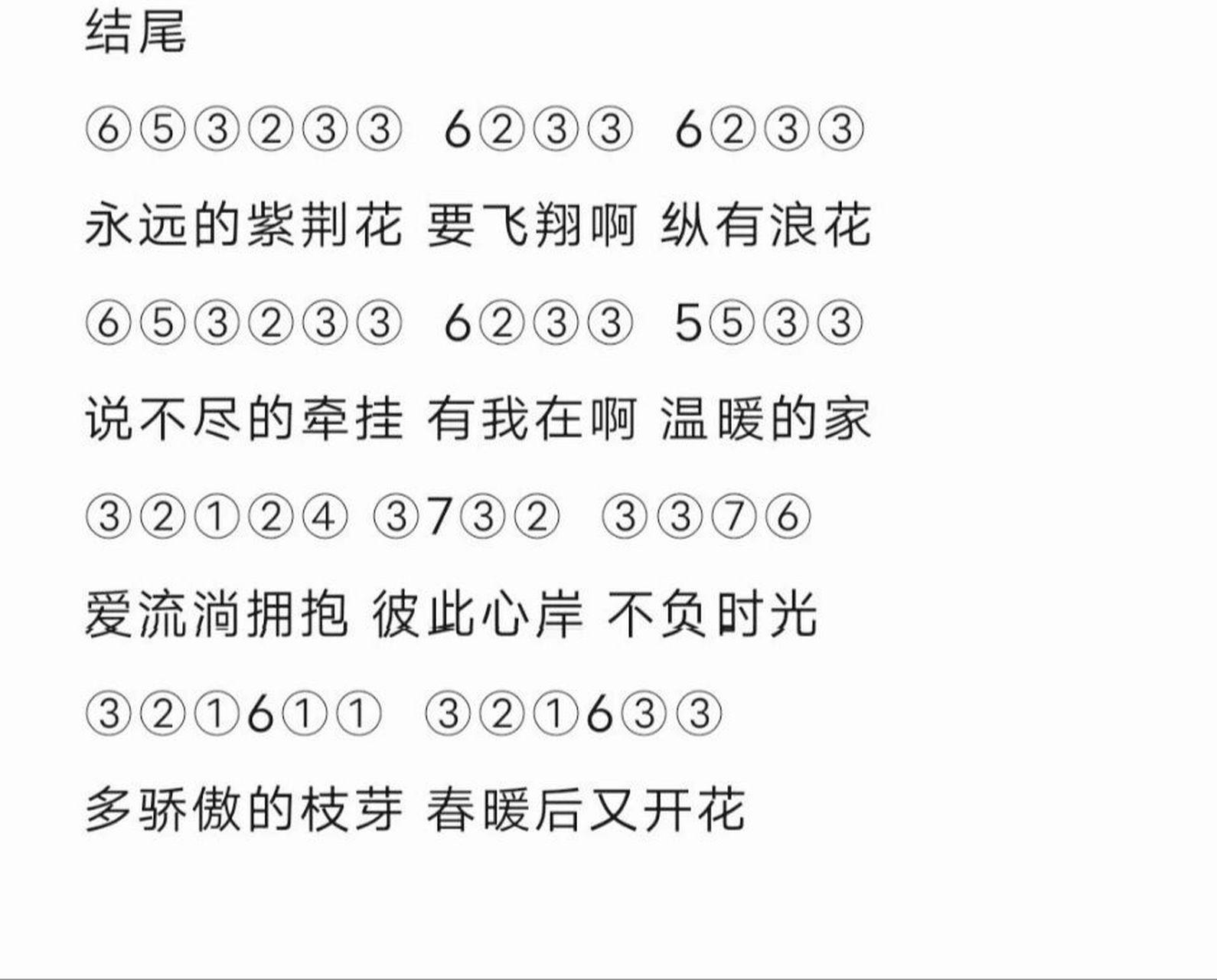 永远的紫荆花光遇琴谱