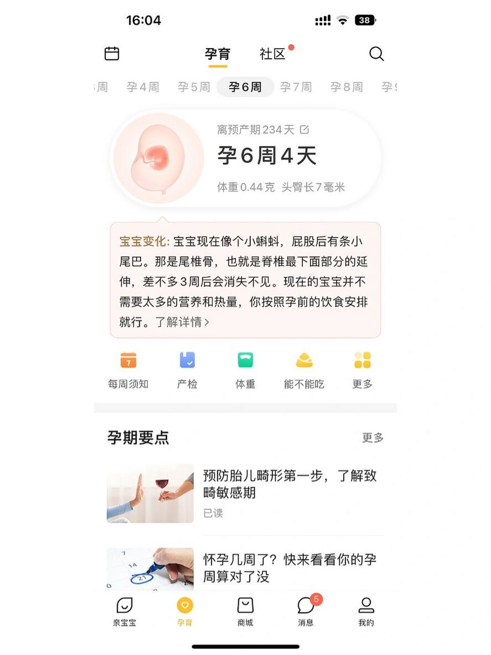 大家6周孕囊多大呀? 孕妈妈6周的时候,孕囊多大?有没有可能双胞胎?