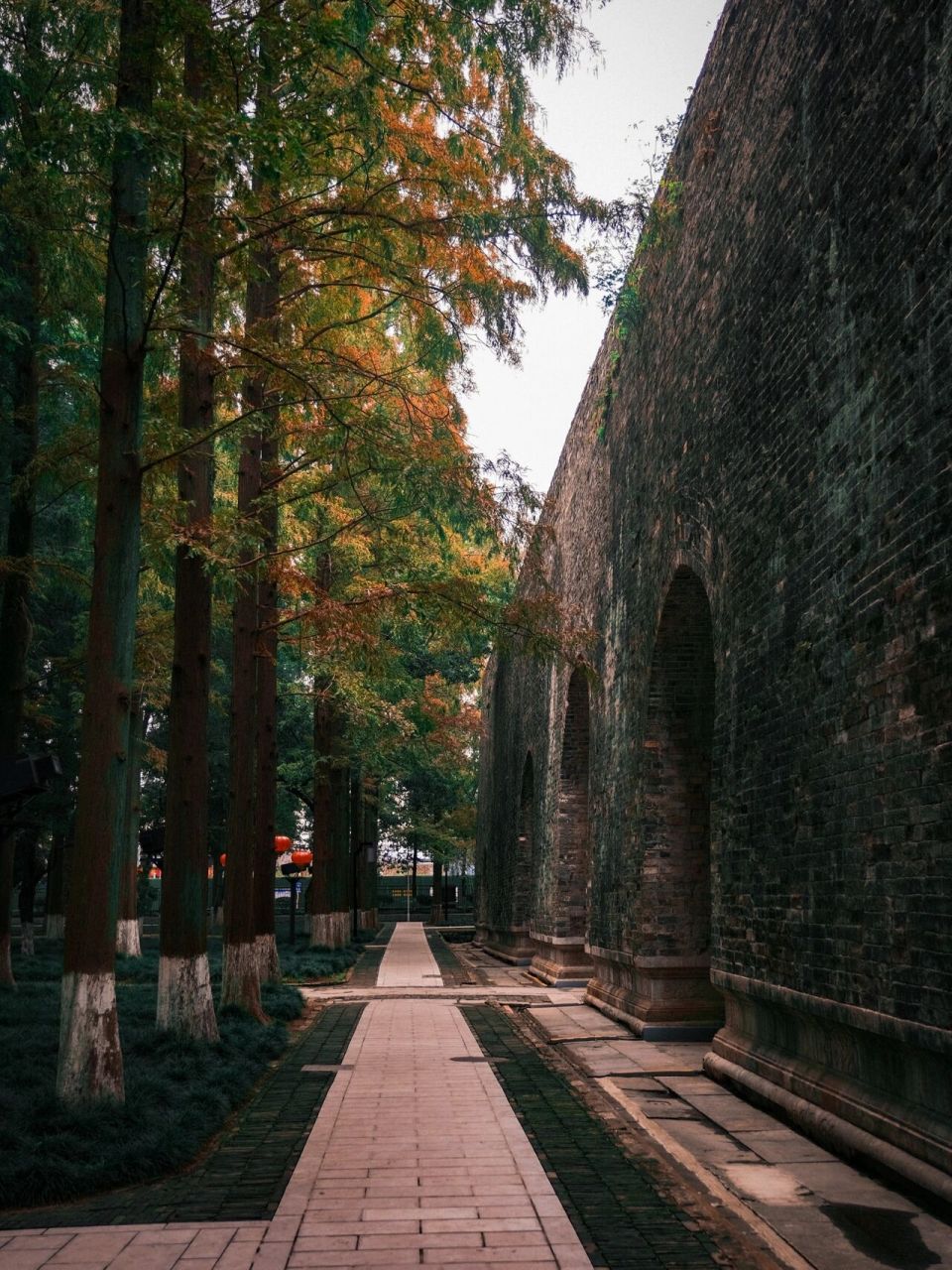 1 | 午朝门公园&明代遗址 — — — —95南京游玩地&午朝门公园95