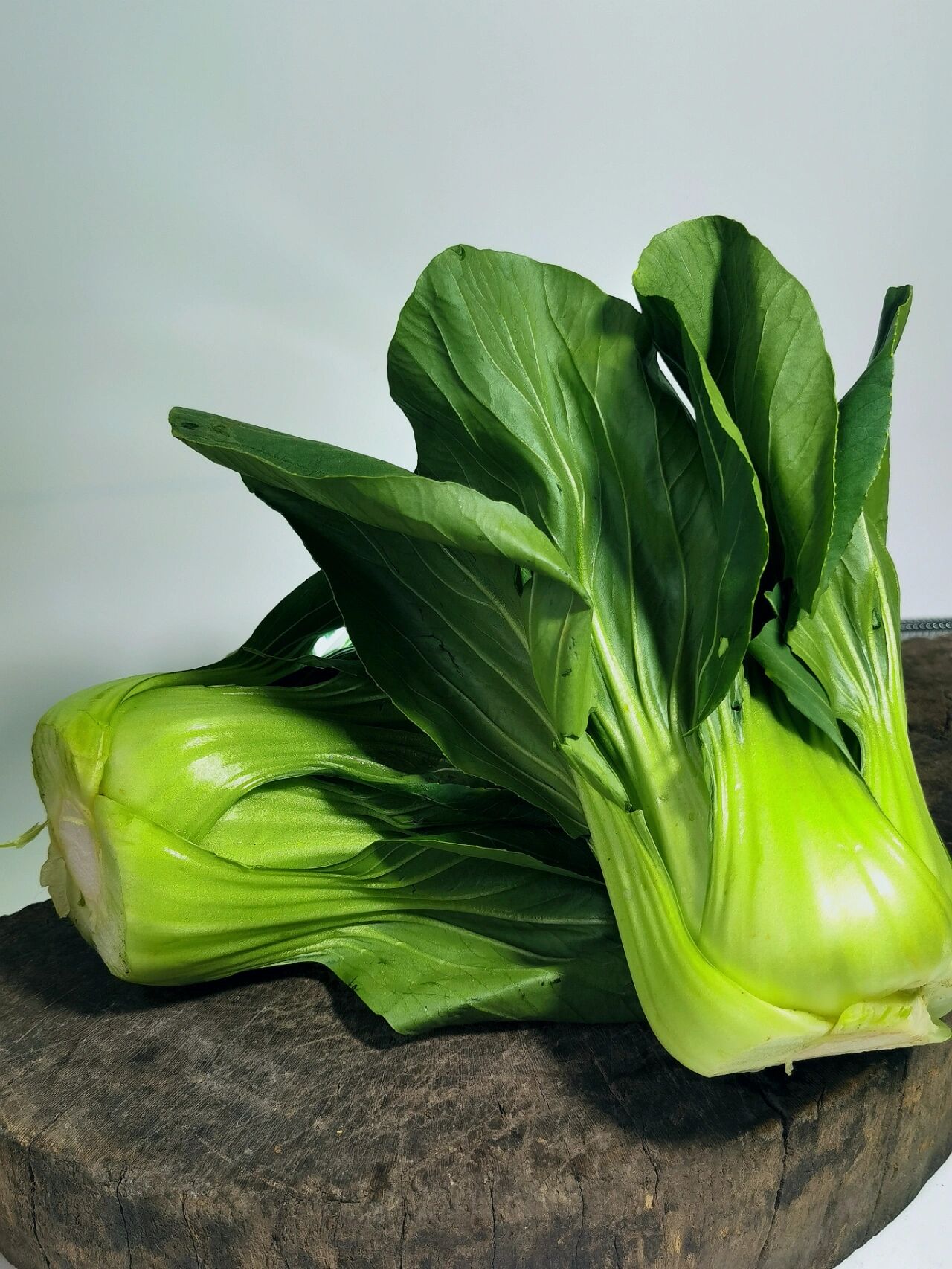 绘画素材——青菜