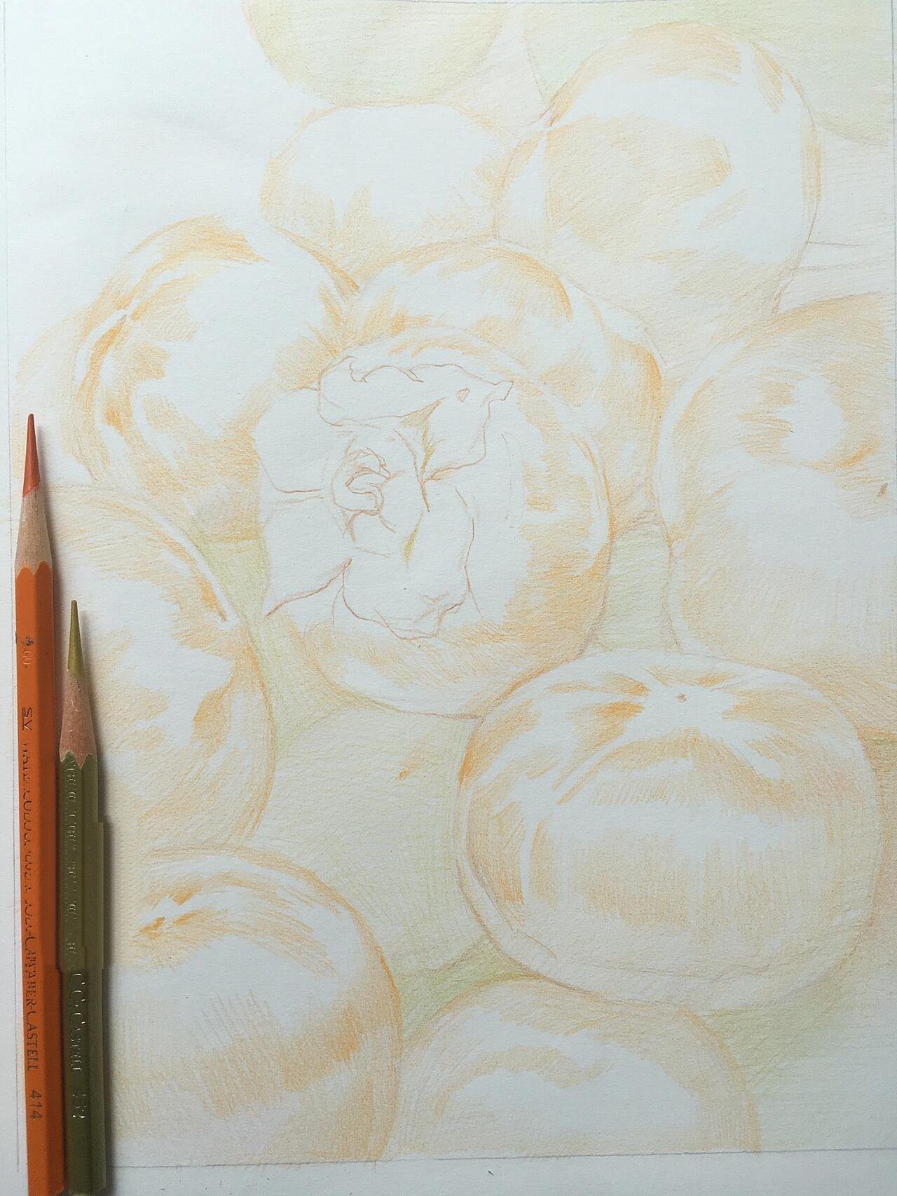 彩铅手绘基础教程 柿子 分享