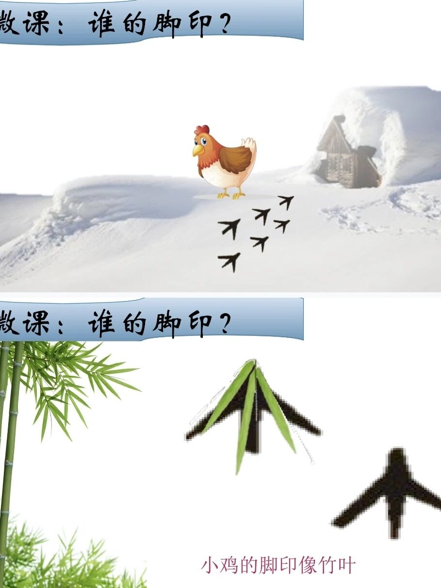 幼儿园公开课73小班科学《谁的脚印