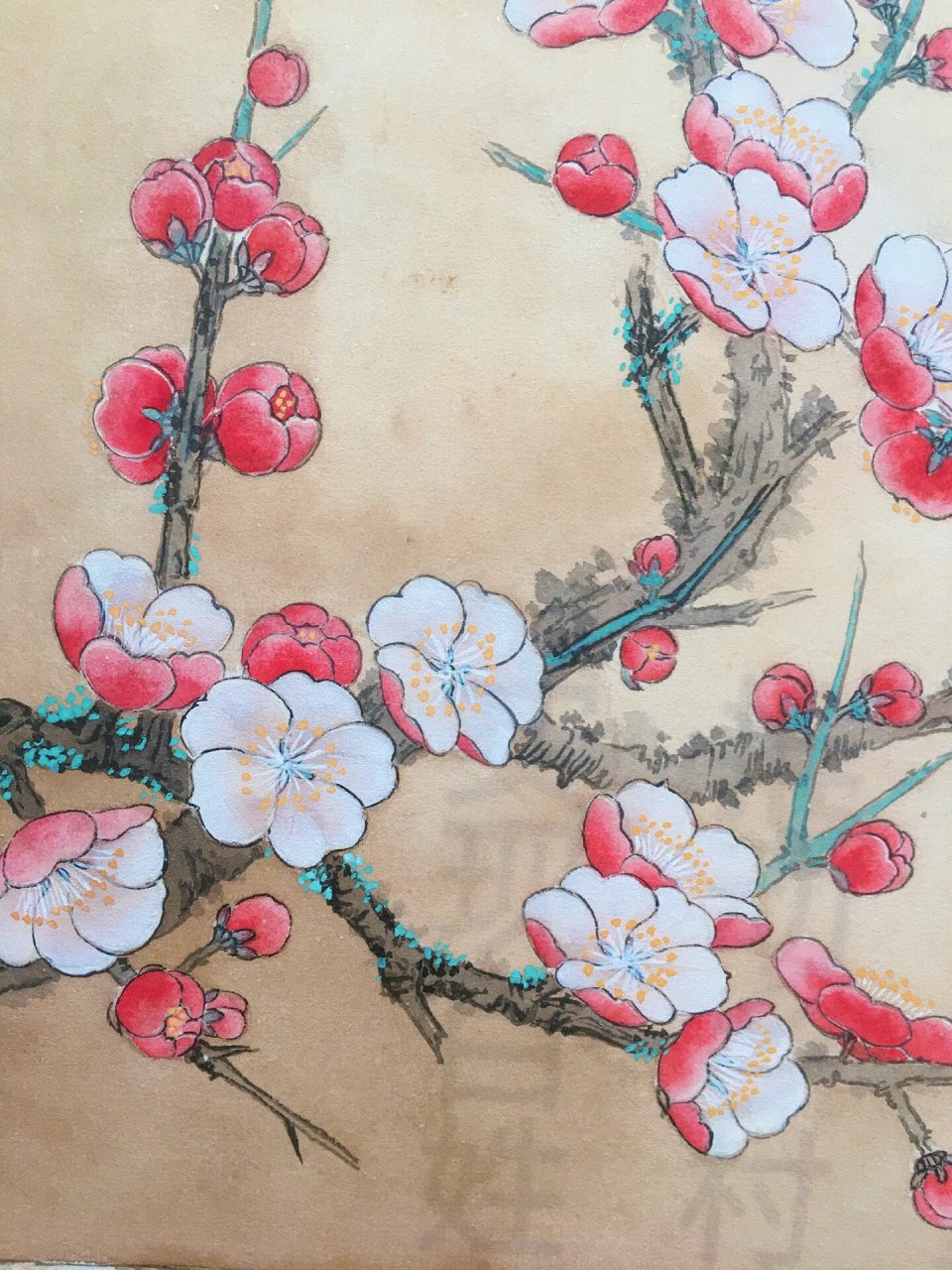 工笔梅花.