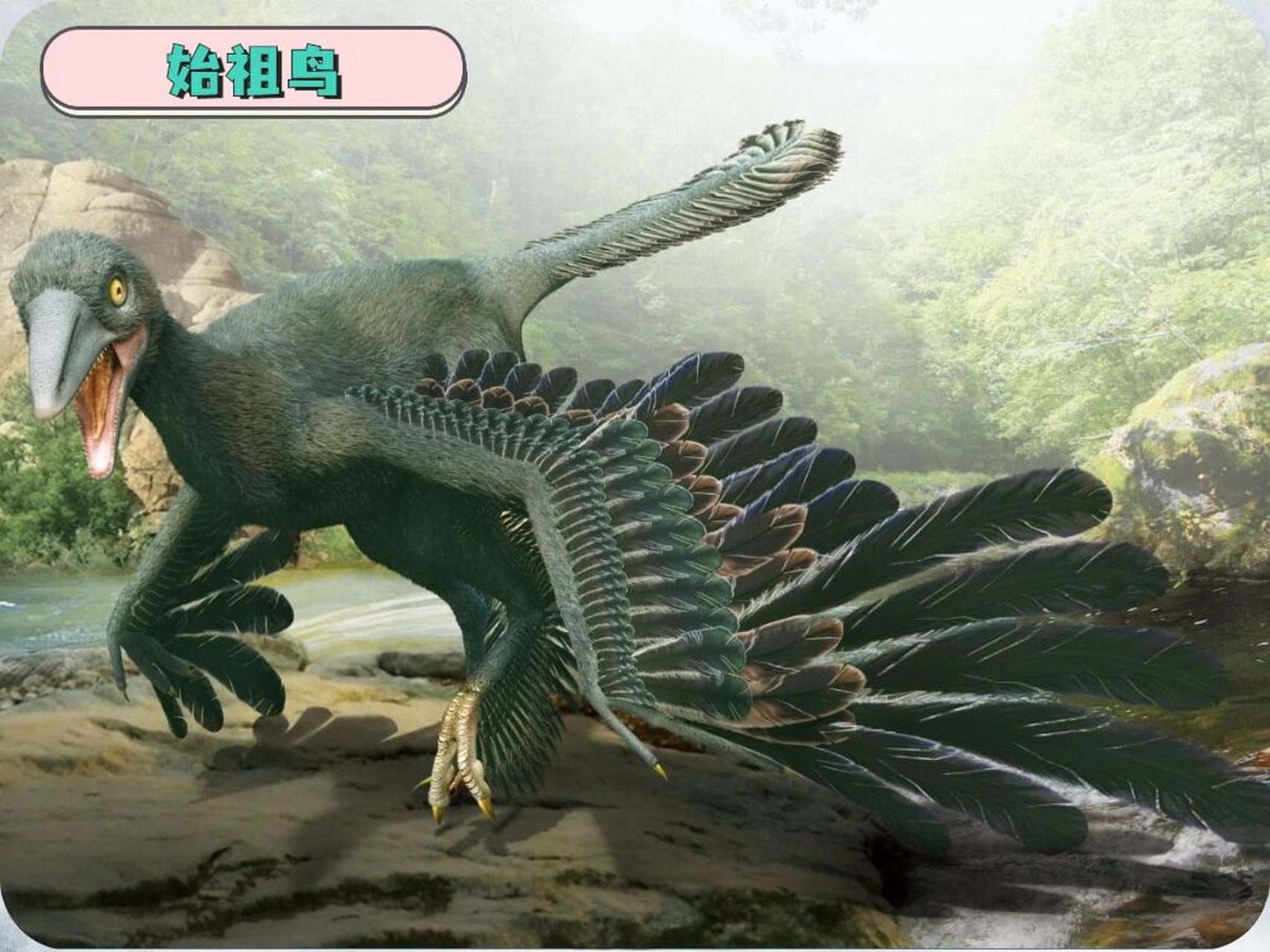 97宝藏知识97重返恐龙时代6015建议收藏 恐龙时代的天空中飞