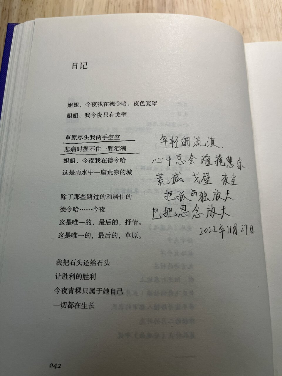 诗歌分享|海子《日记》 年轻的流浪 心中总会难掩悲凉 荒城 戈壁 夜空