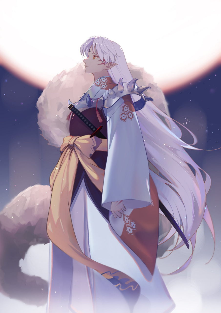 大家觉得哪一张杀生丸最帅?