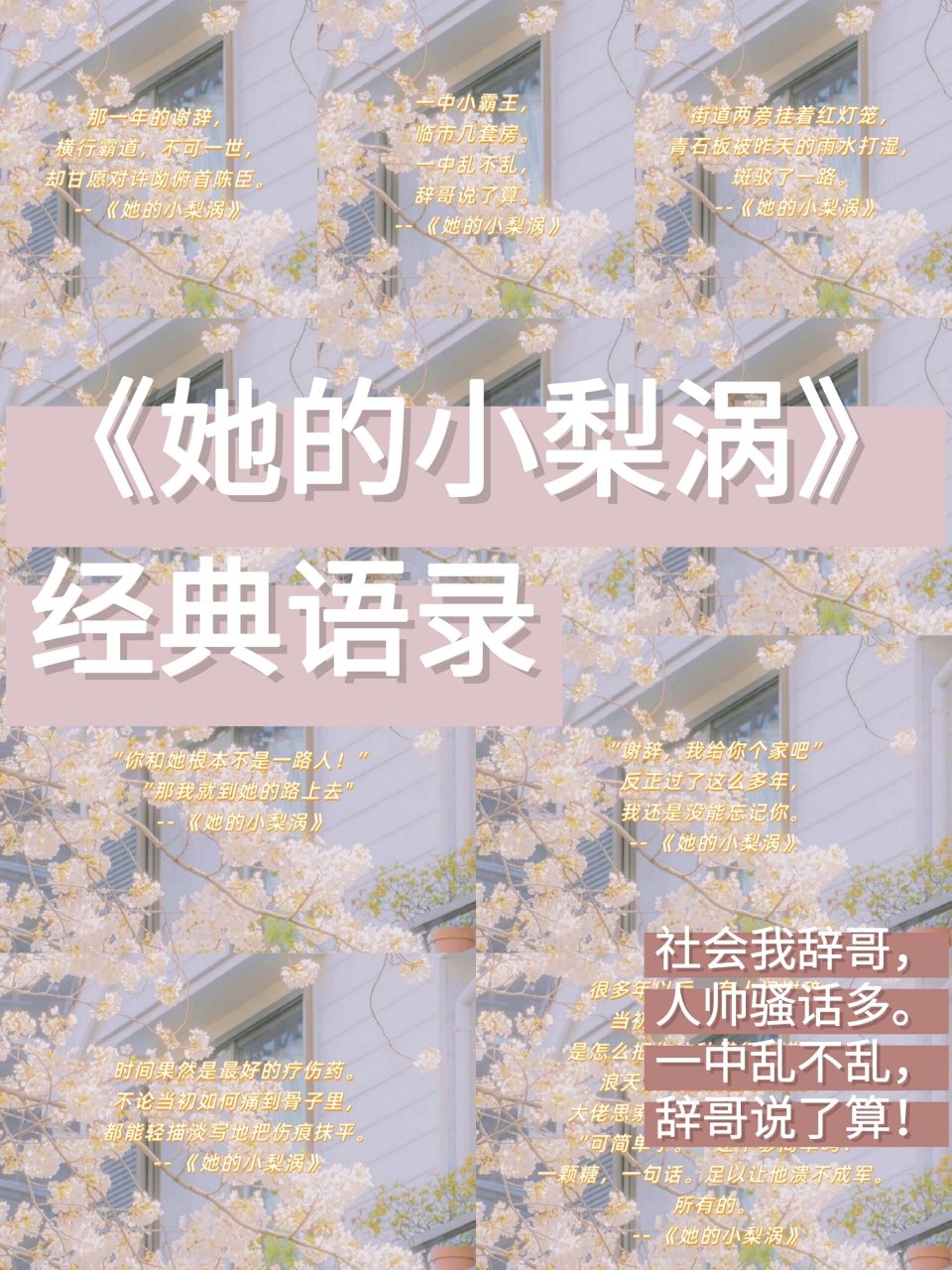 谢辞文字图片图片