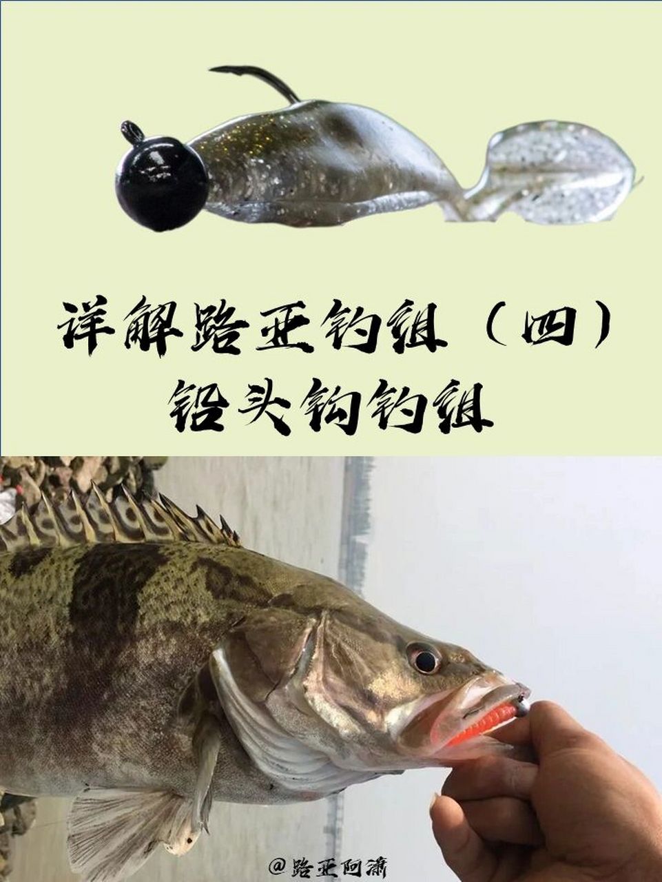 如果要问哪种路亚软饵钓组在国内最受欢迎?